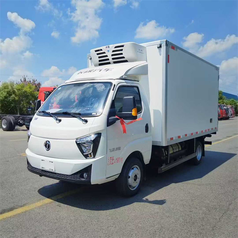 飞碟缔途双燃料冷藏车