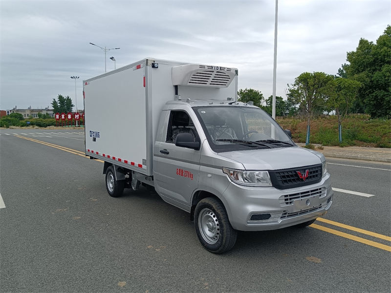 3.3米五菱汽油2.0排量 后单轮 冷藏车 （可做限高2.15M）