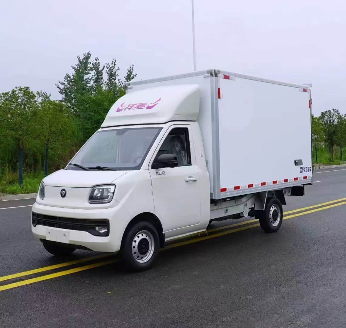 福田祥菱Q汽油小型冷藏车