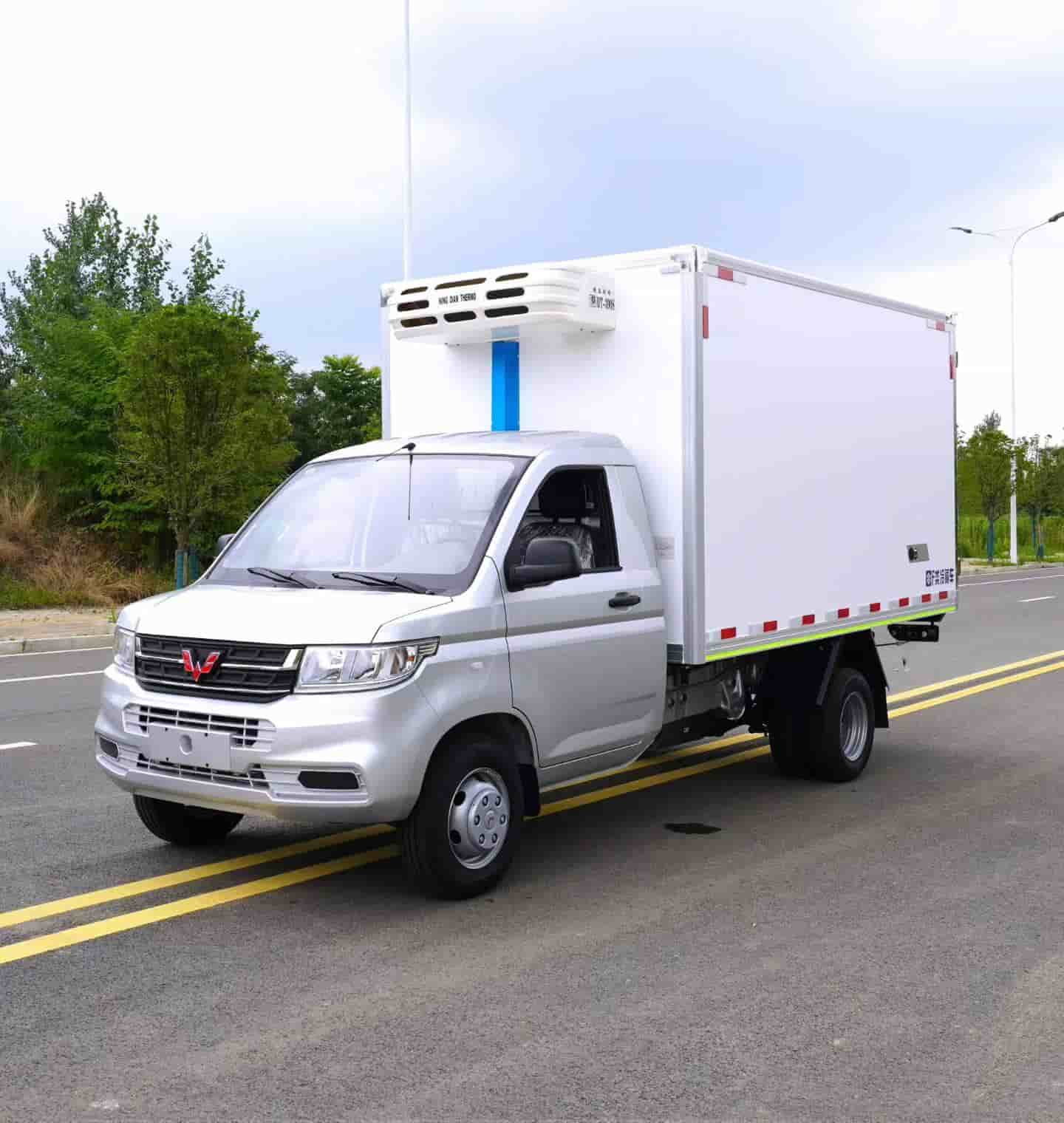 五菱荣光新卡（后双胎）卡冷藏车